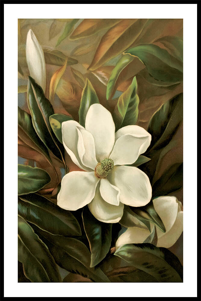 Постер Magnolia