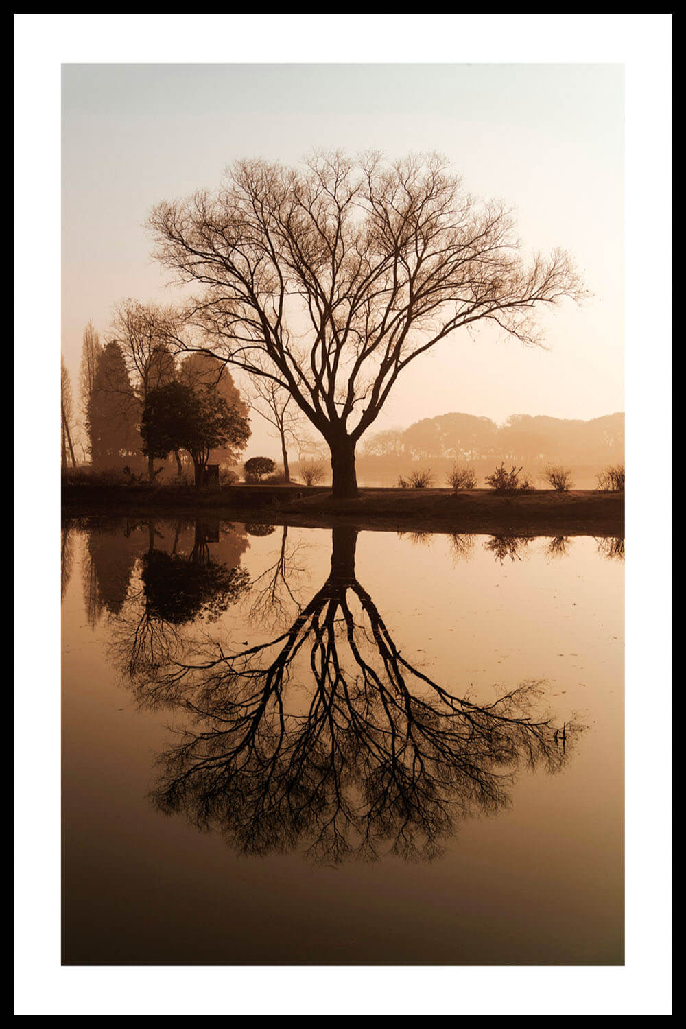 Постер Отражение