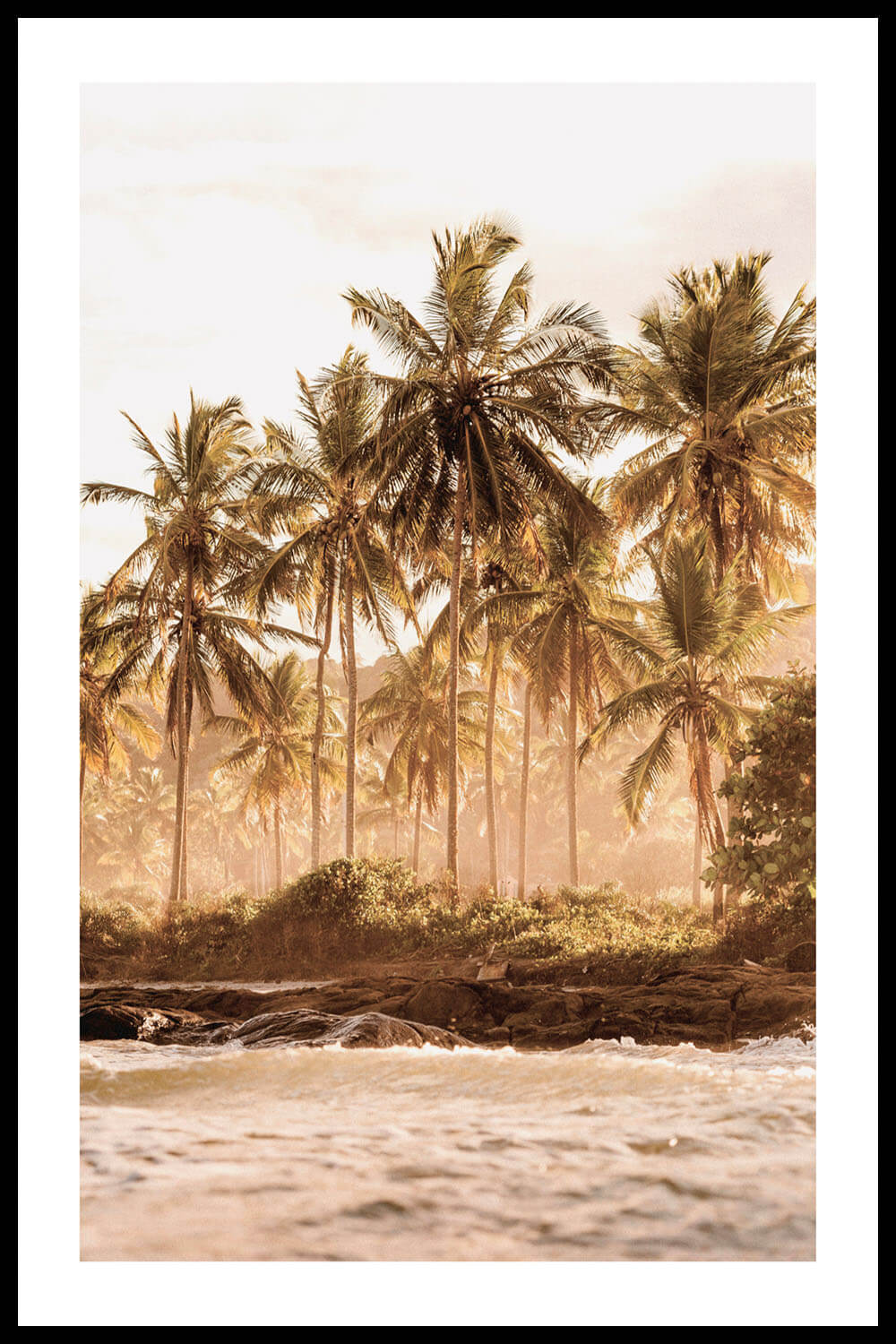 Постер Пальмы