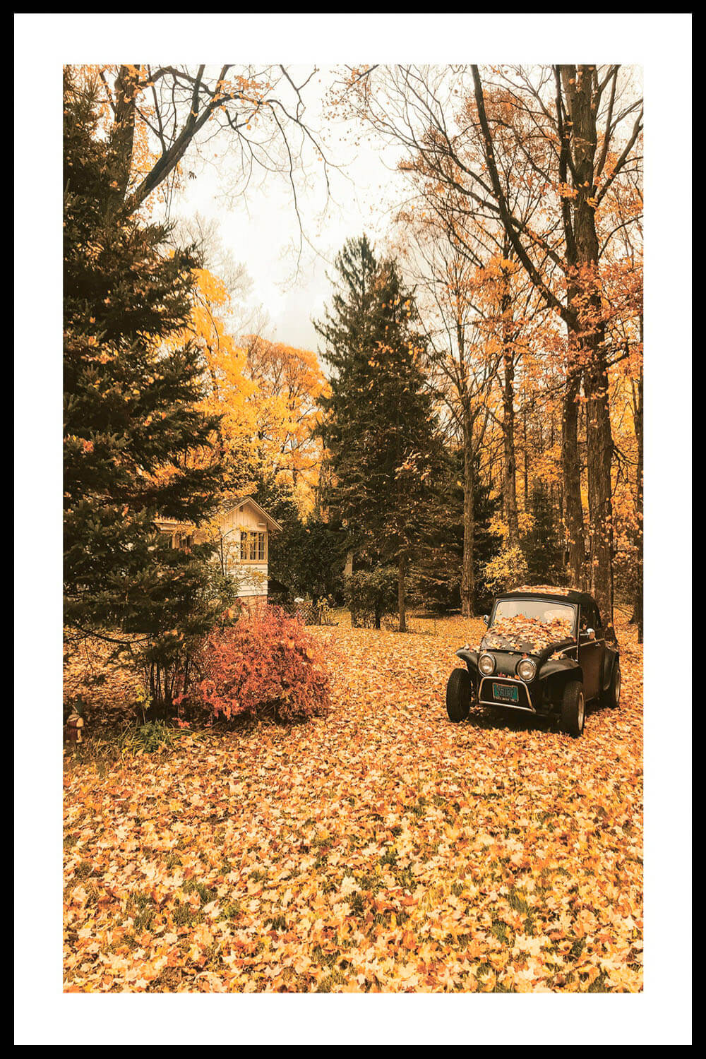 Постер Машина в Листьях