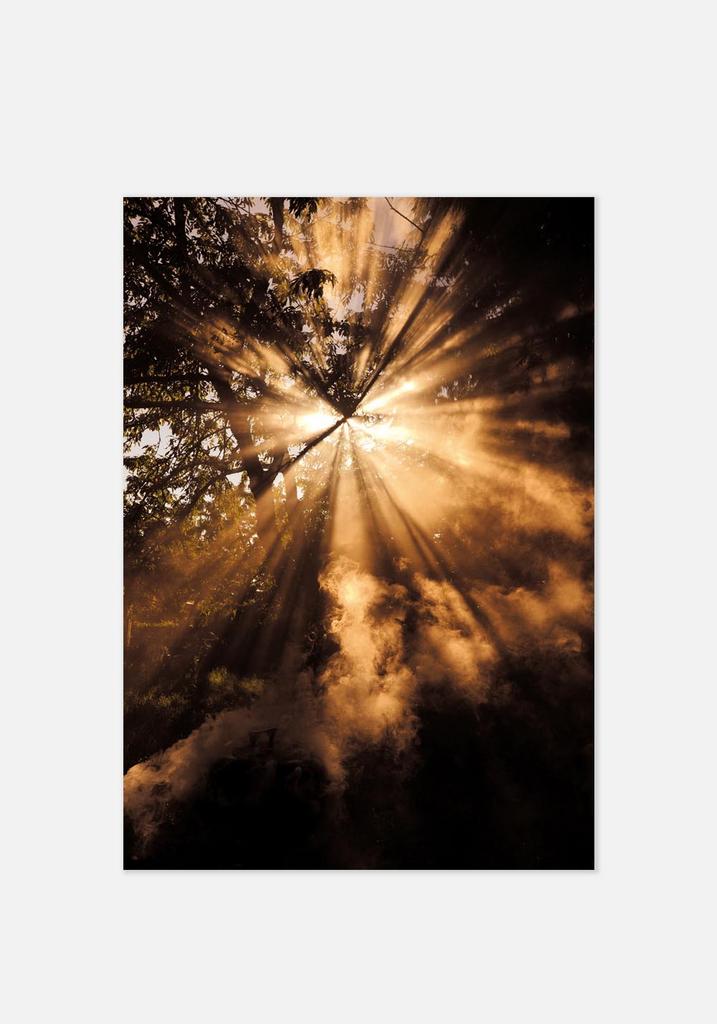 Постер №096 | 50х70 см