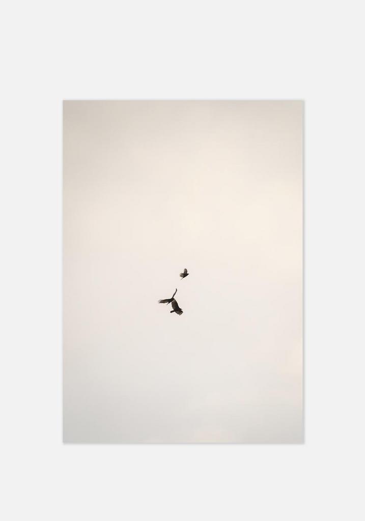 Постер №0153 | 50х70 см