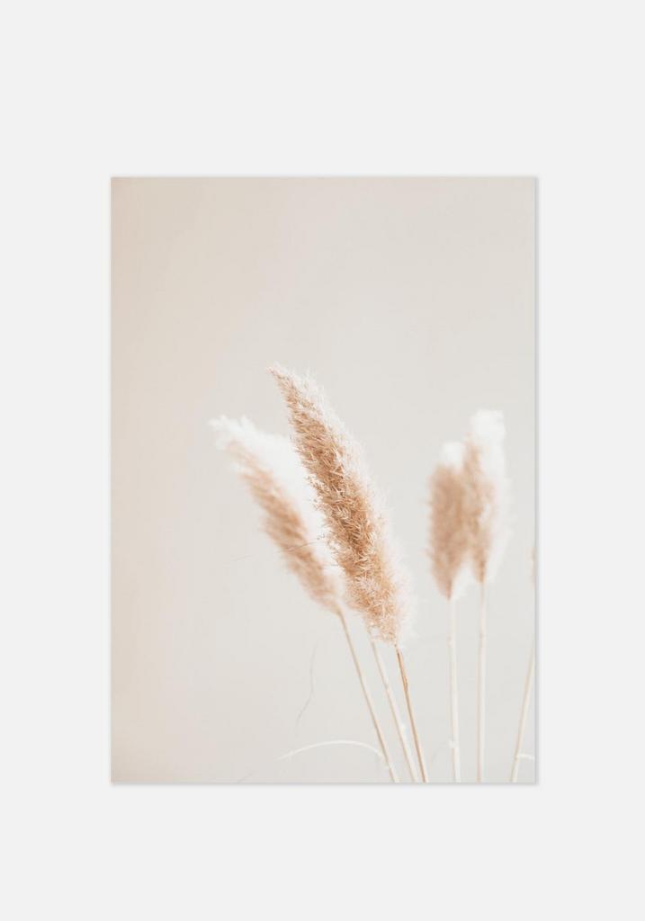 Постер №060 | 40х50 см