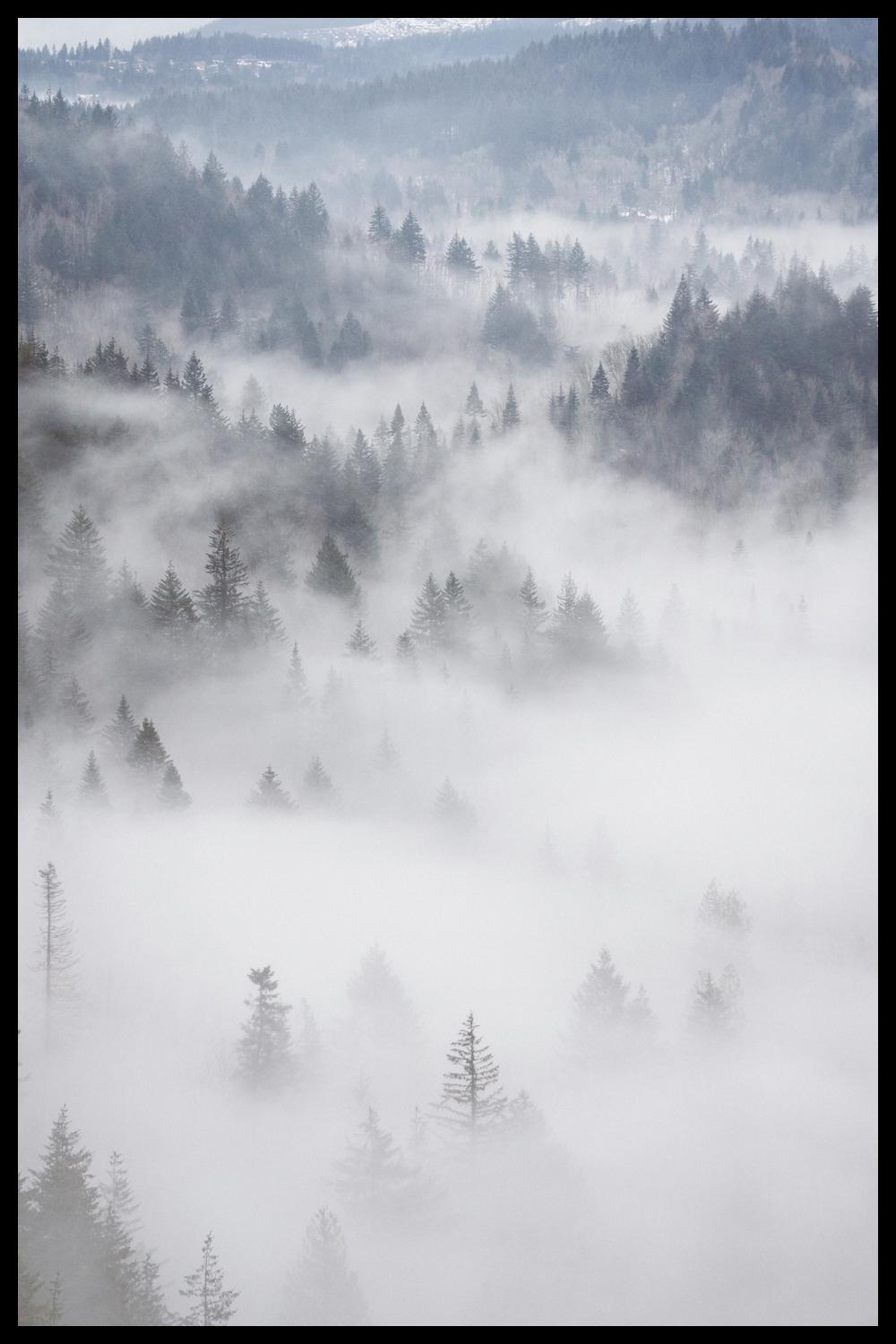Постер Fog