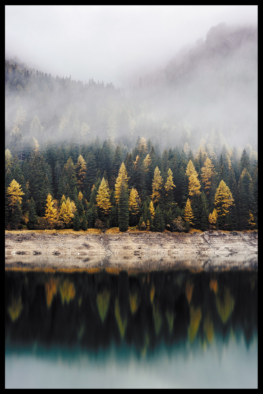 Постер Lake In The Forest