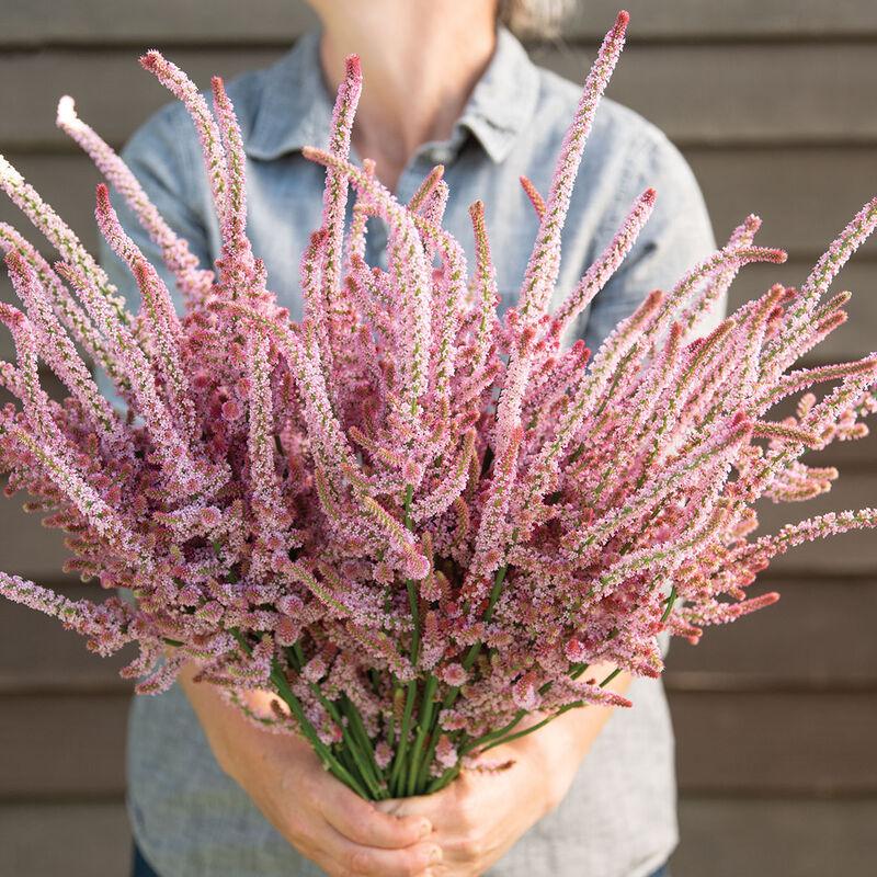 Статица Pink Pokers