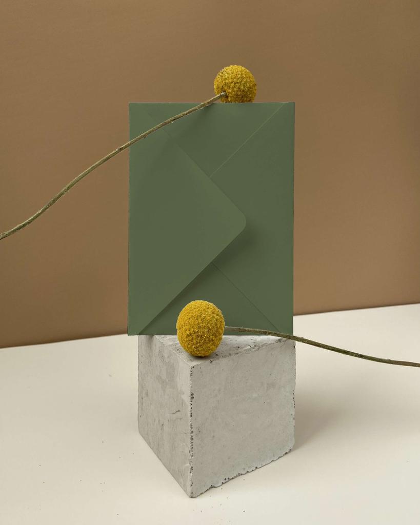 Конверт Болотный