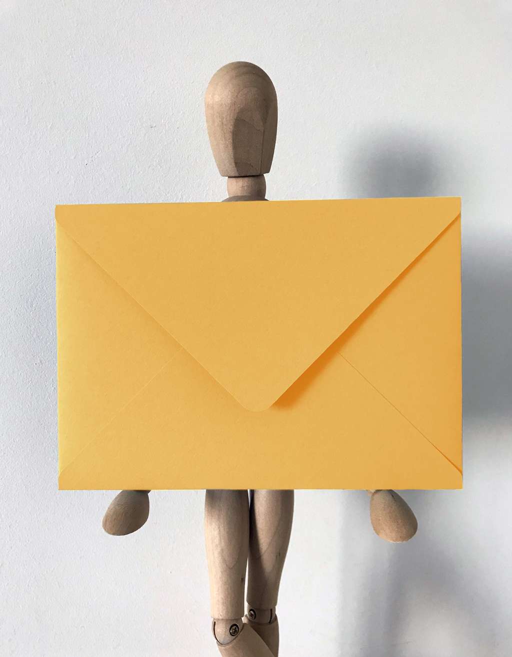 Конверт индийский карри