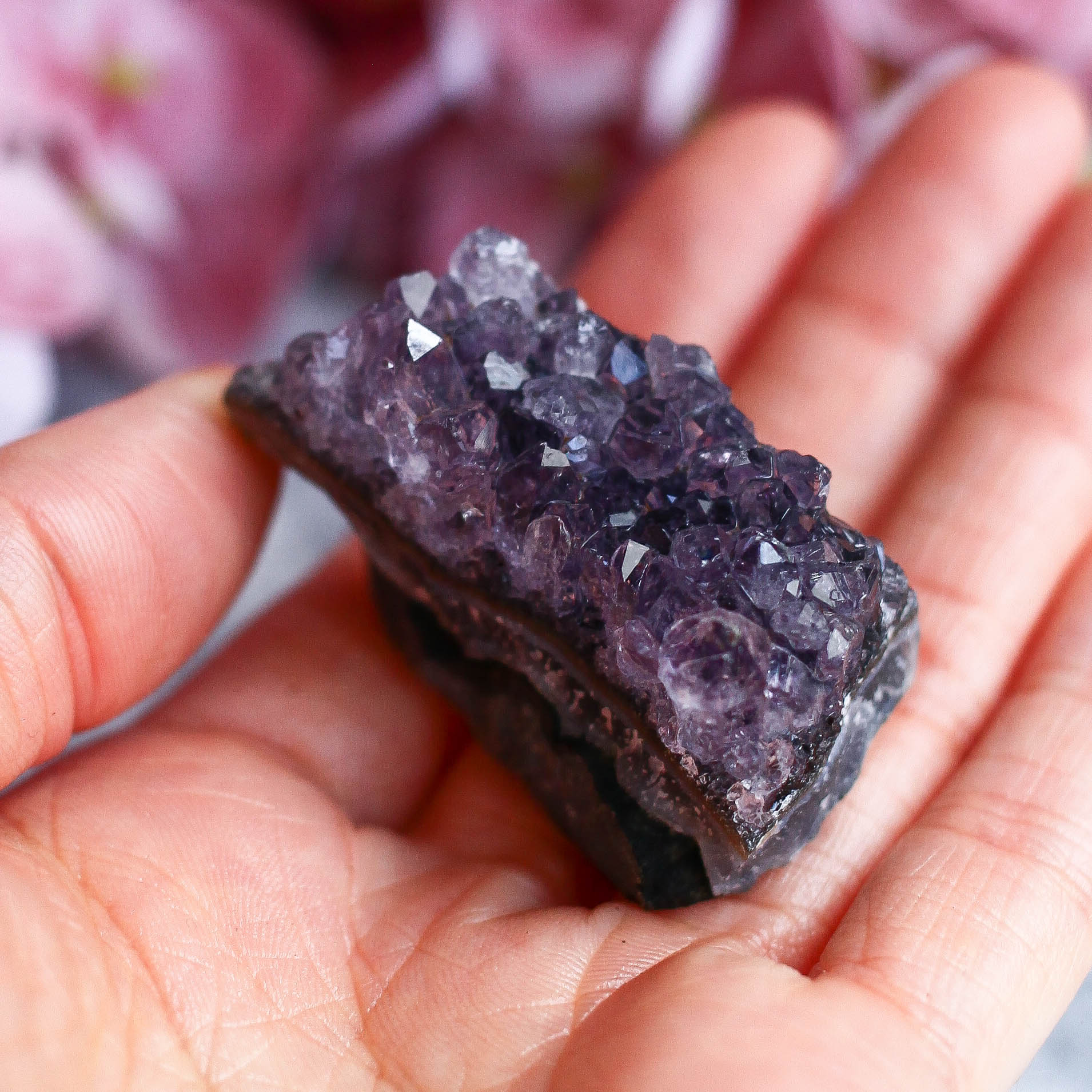 Друза аметиста