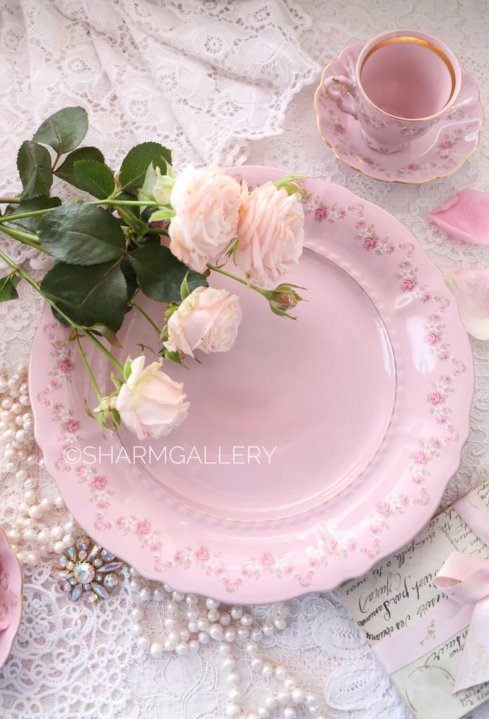 Тарелка столовая 25см «Розовая соната» розовый фарфор Leander Чехия.