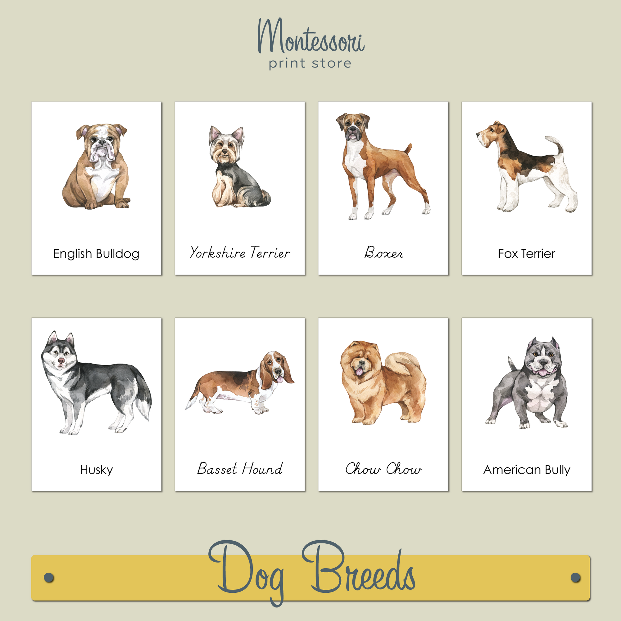 DOG BREEDS - MONTESSORI NOMENCLATURE CARDS