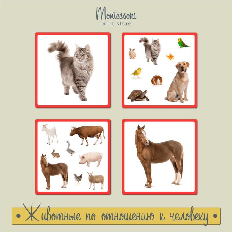 Животные по отношению к человеку - карточки Монтессори купить и скачать