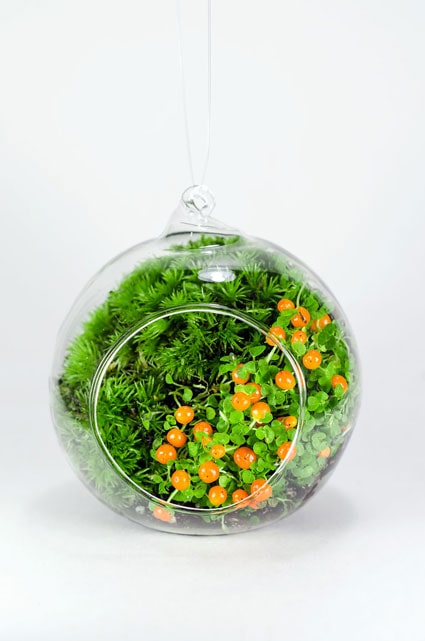 MOSS BALL