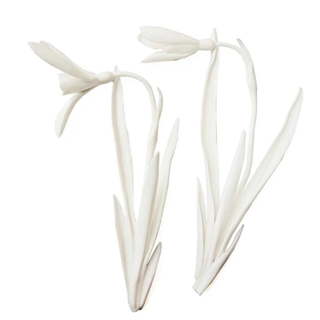 "Подснежник". Бисквит