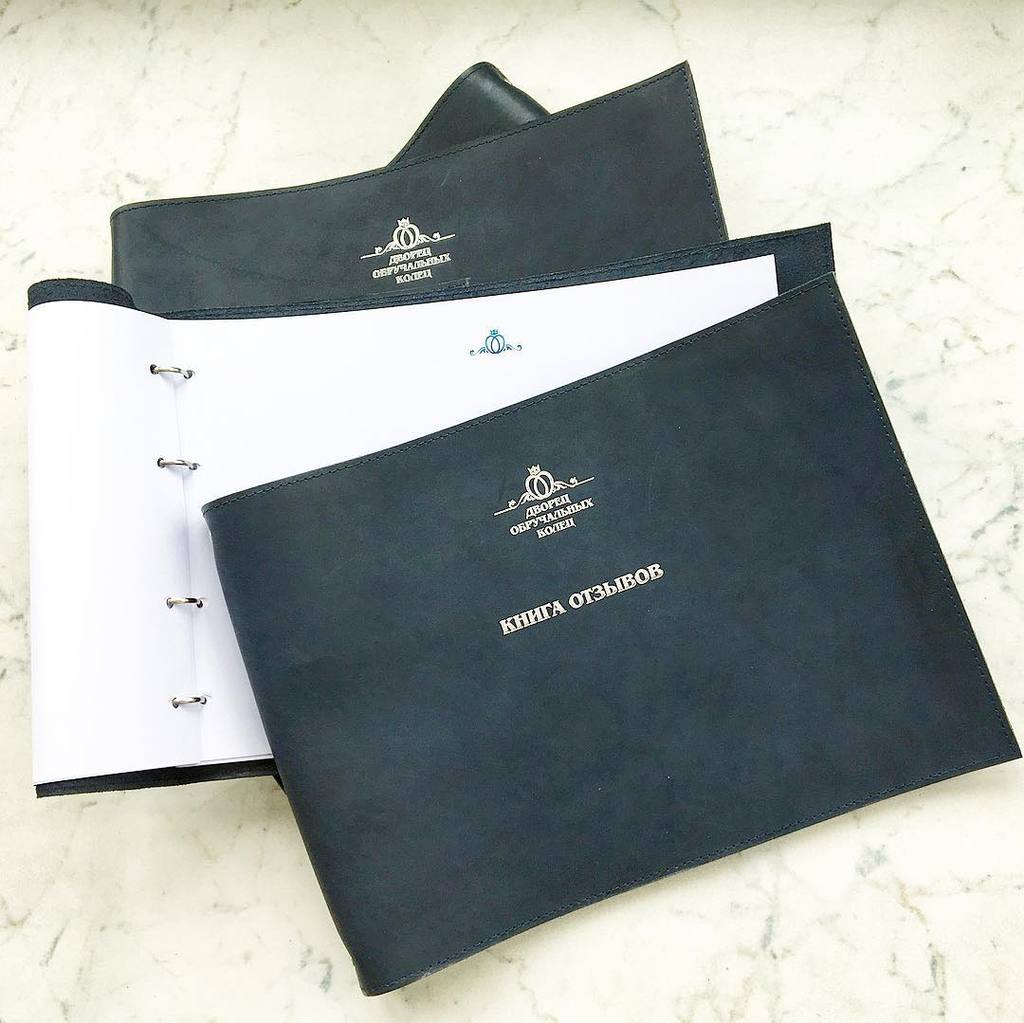 Папка на кольцах А4 с логотипом