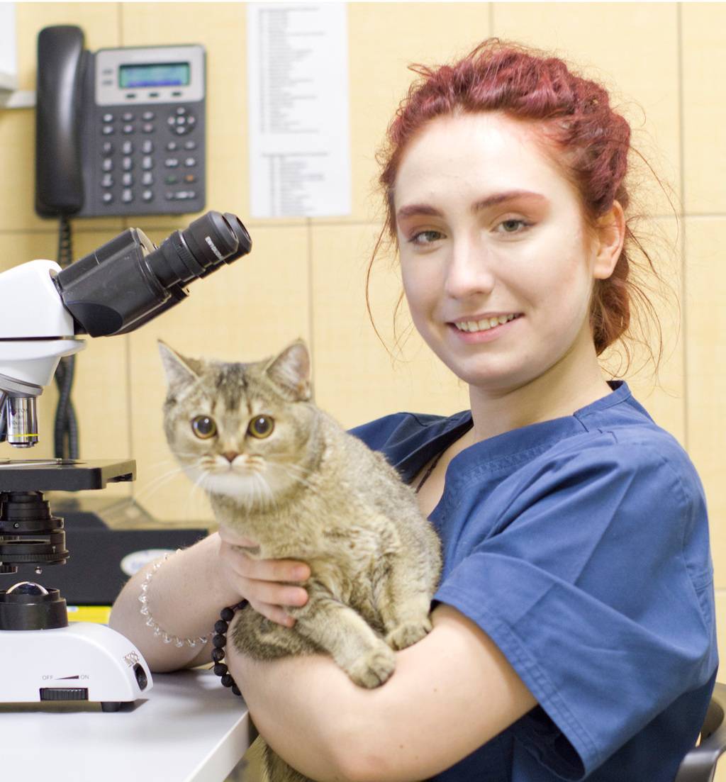 Дмитриева Анна, ветеринарный врач лаборатории