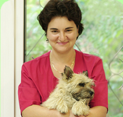 Ярышева Лусине Дживаншировна, ветеринарный врач. Специализация - хирургия, неврология