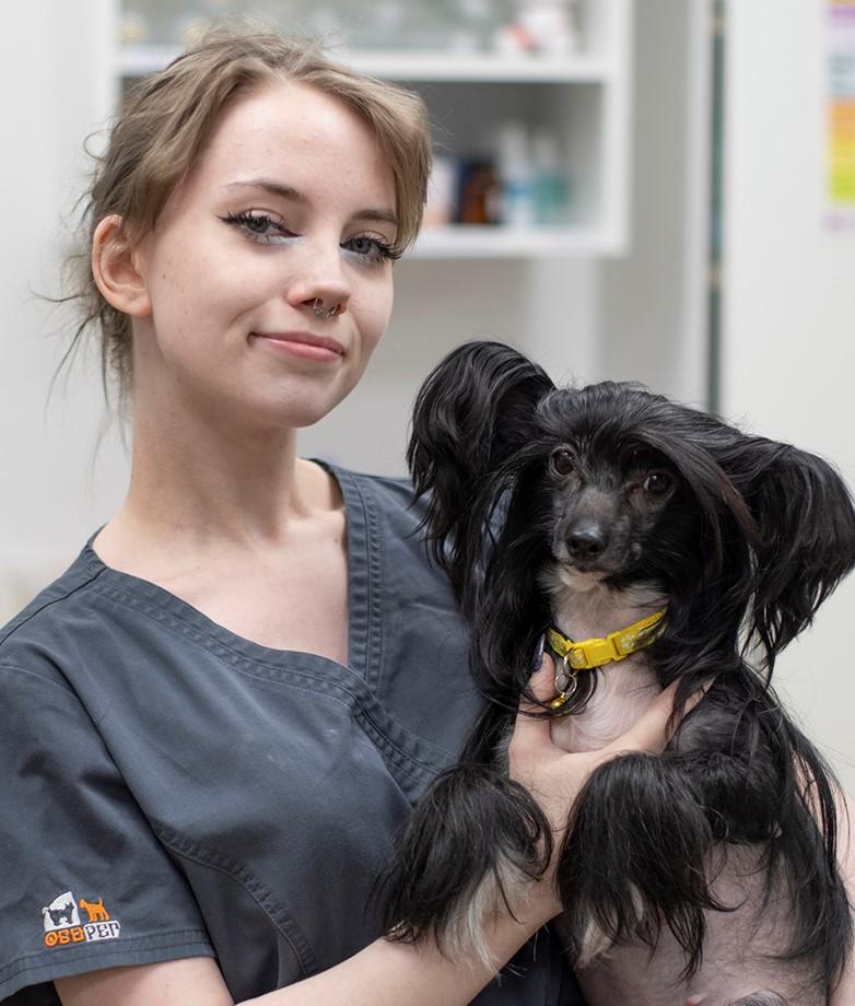 Постнова Полина, ассистент ветеринарного врача