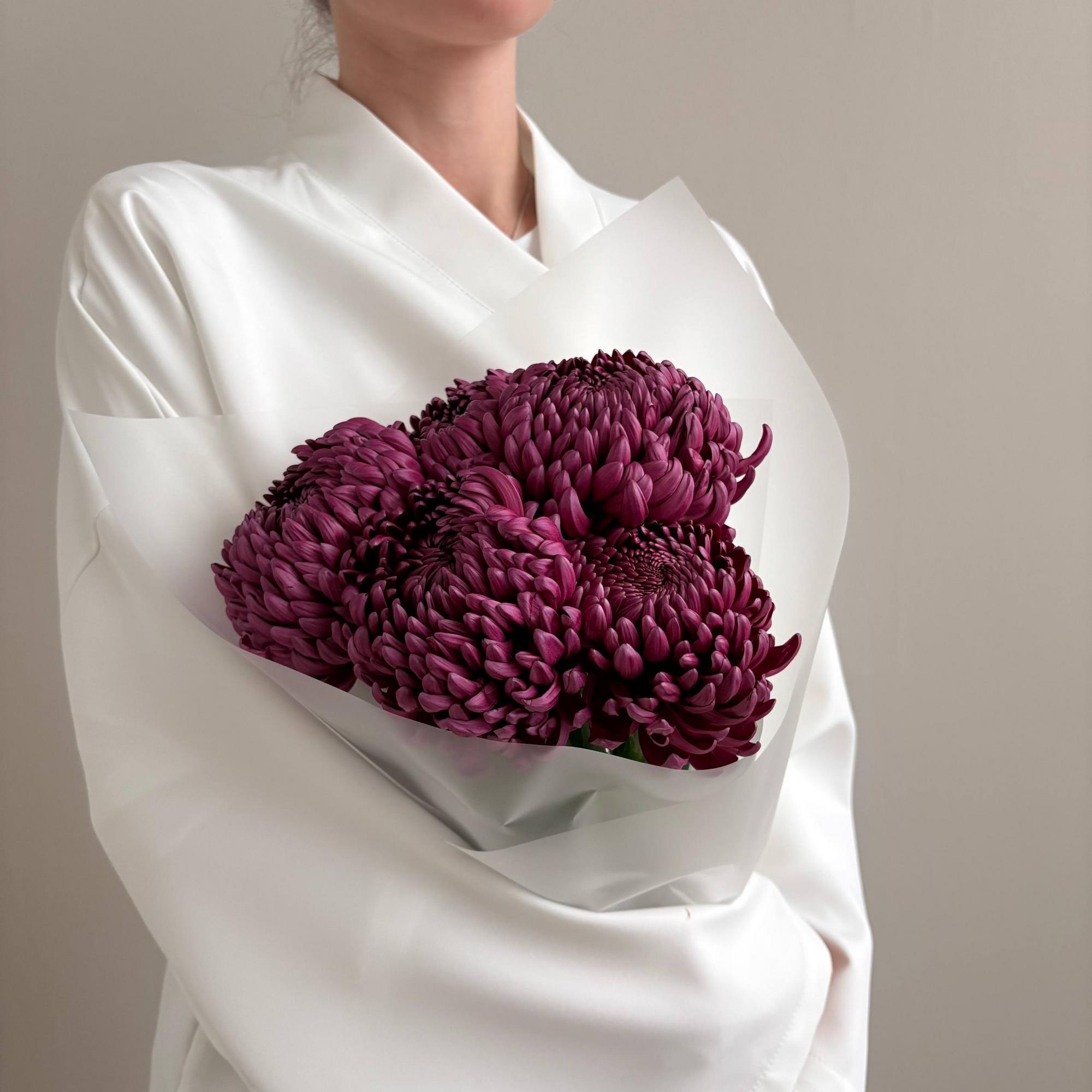 Шарообразные хризантемы Бигуди 5 шт