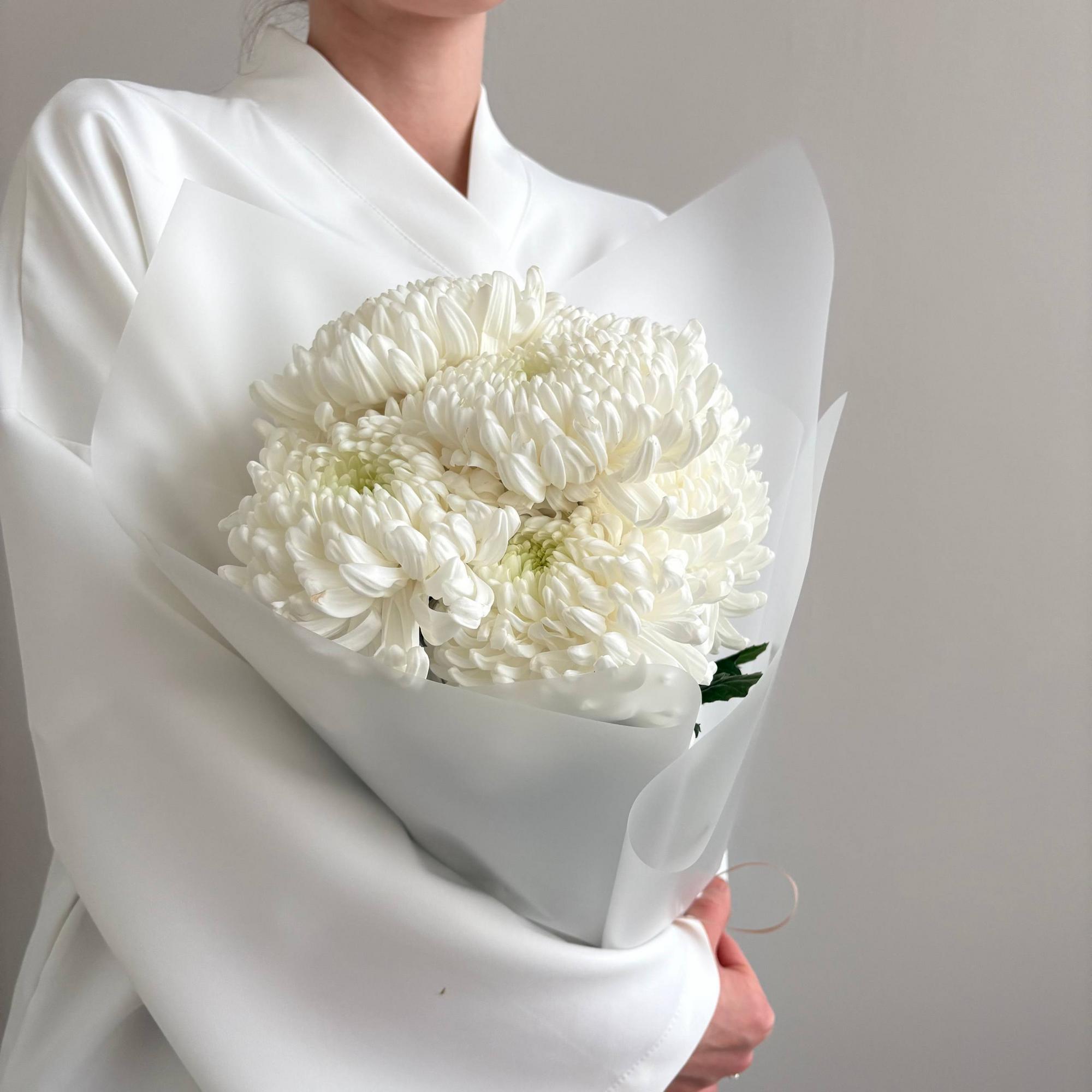 Шарообразные хризантемы Рибонет 7 шт