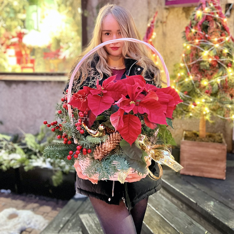 Новогодняя композиция с живой пихтой Нобилис, Пуансеттией и новогодним декором