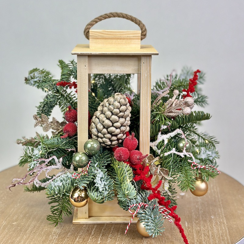 Новогодняя композиция с живой пихтой Нобилис "Волшебный фонарик"