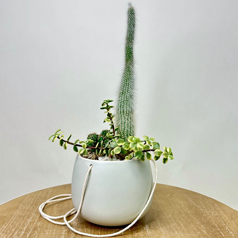 Флорариум в подвесном кашпо