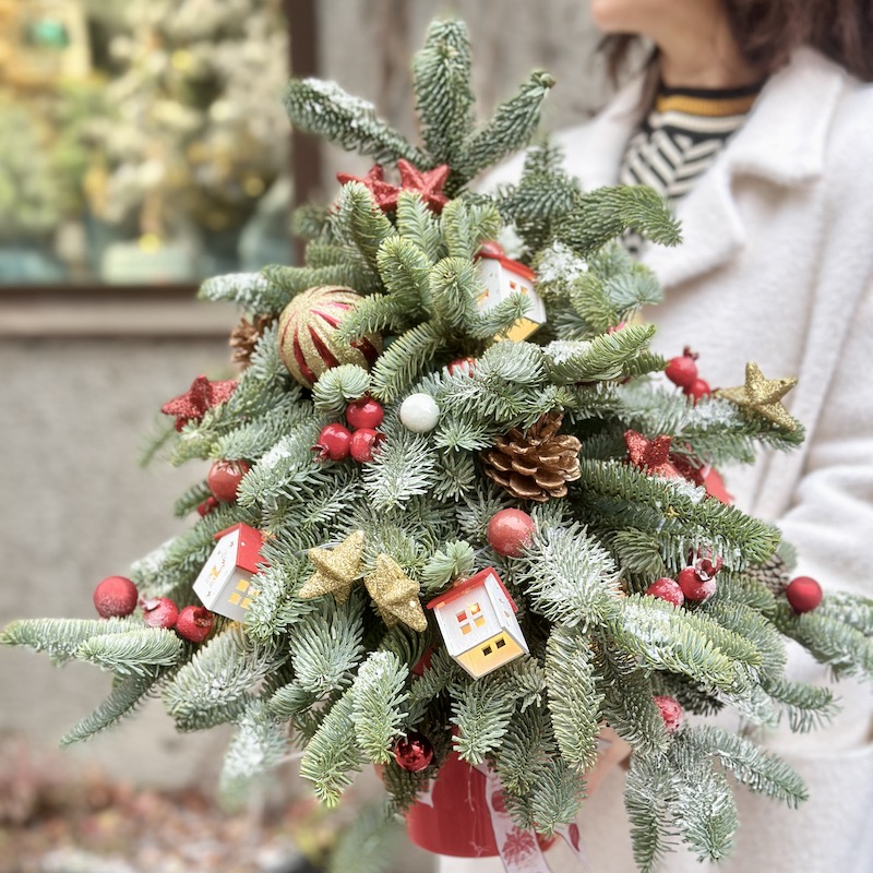 Новогодняя елочка из живых веток пихты Нобилис со светодиодной гирляндой "Красные домики"