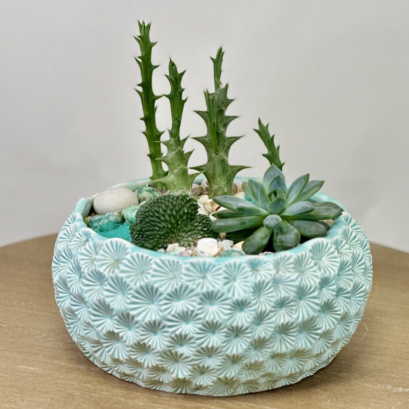 Флорариум "Сейшелы"