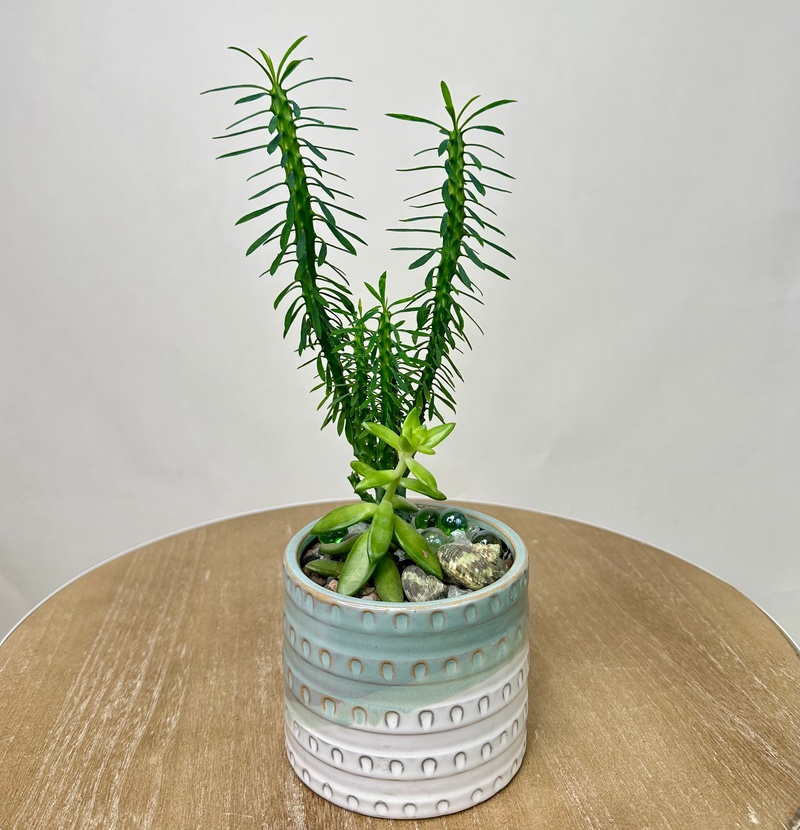 Флорариум "Версаль"