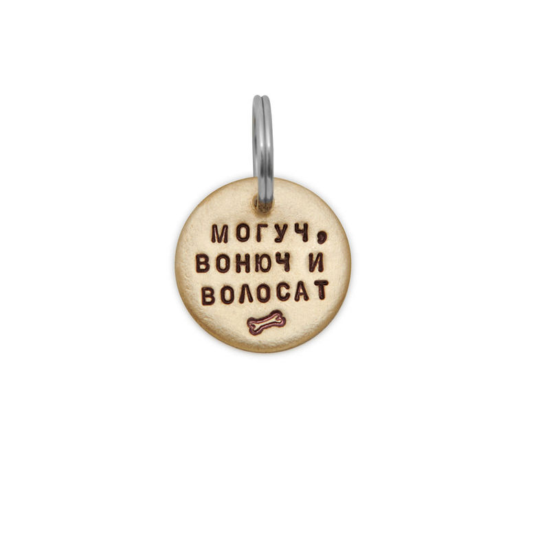 Адресник МОГУЧ, ВОНЮЧ И ВОЛОСАТ (латунь/мельхиор, 25/32 мм)