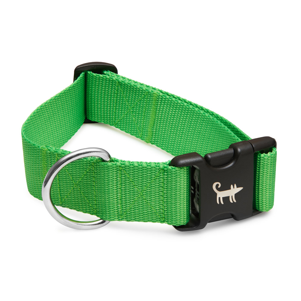 Ошейник для собаки NEON GREEN (широкий)