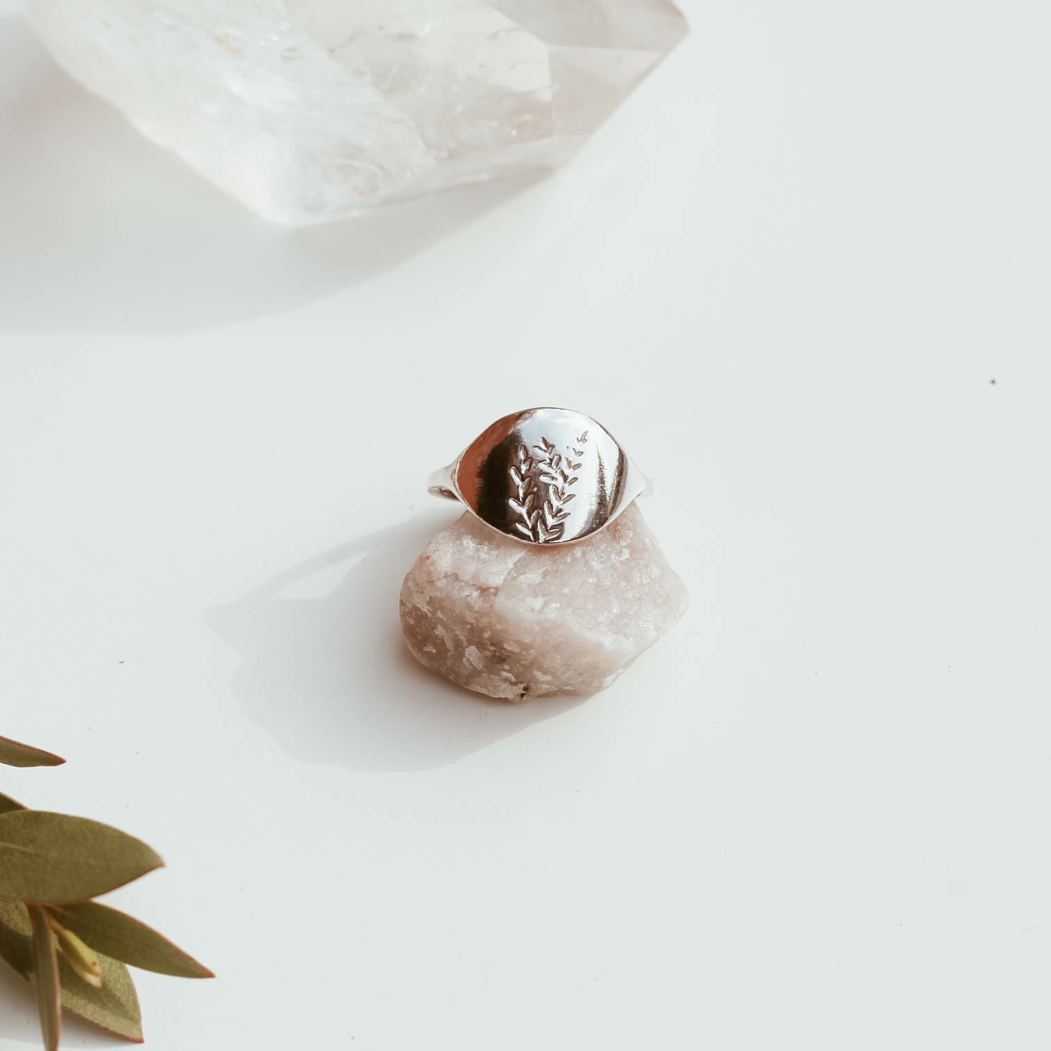 Кольцо Веточка эвкалипта