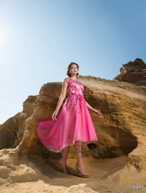 Вечернее платье 17-848