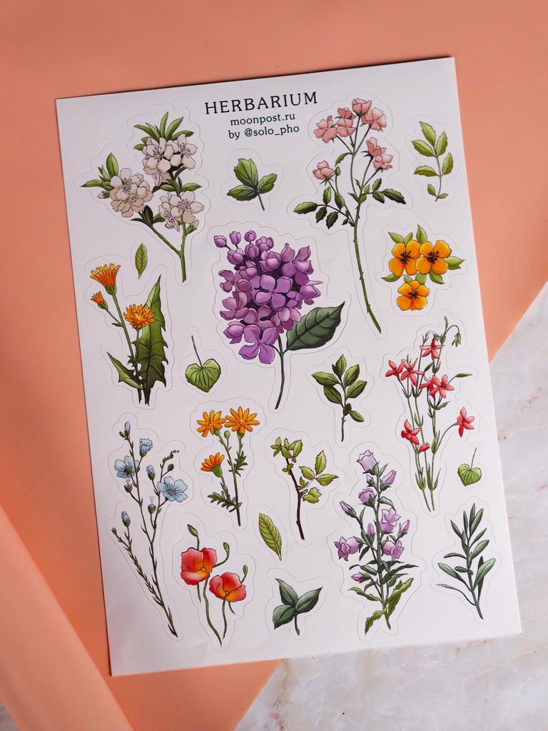Стикеры гербарий