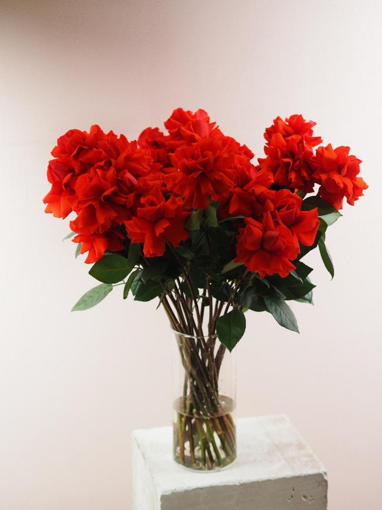 Французские моно розы