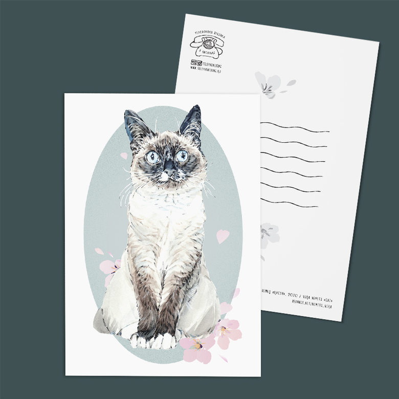Открытки с животными - кошка