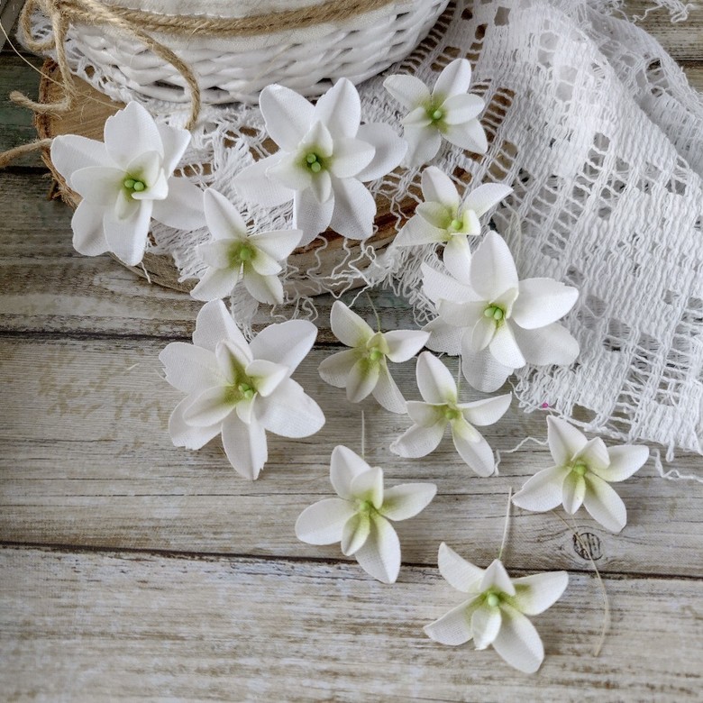 Набор цветов Гортензия дуболистная ГБЛ0003 Pastel Flowers