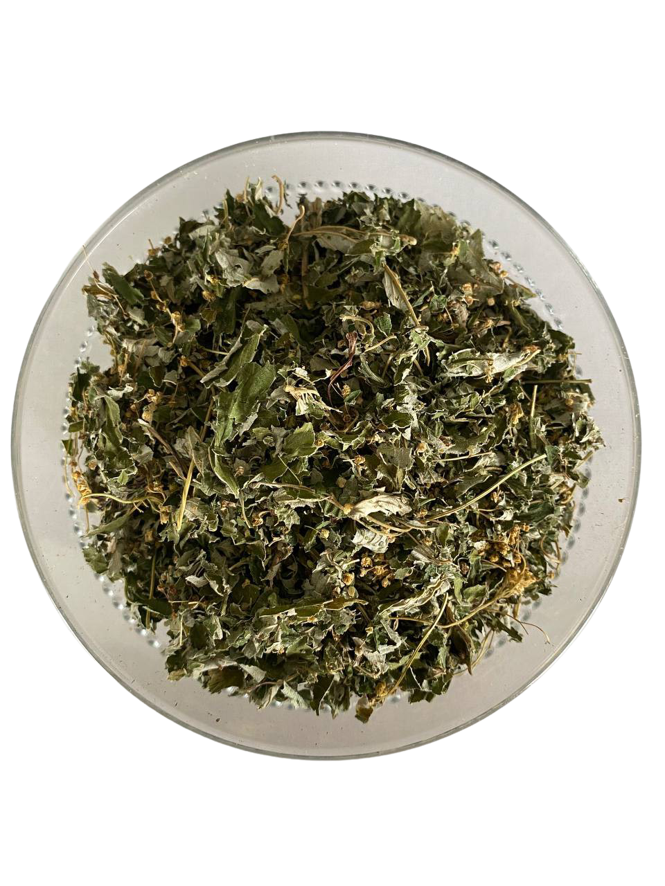 Таволга (лабазник вязолистный)