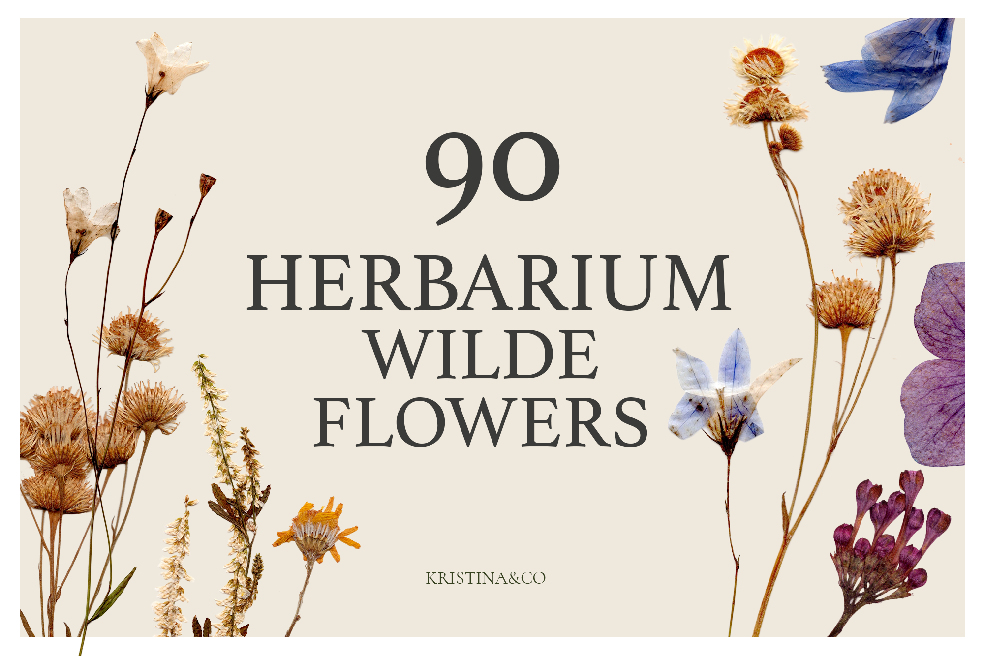90 Herbarium Wilde Flowers
