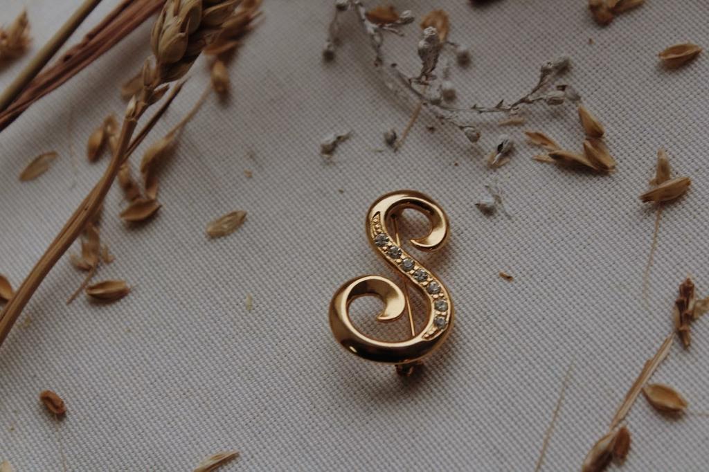 Винтажная брошь «Буква S»