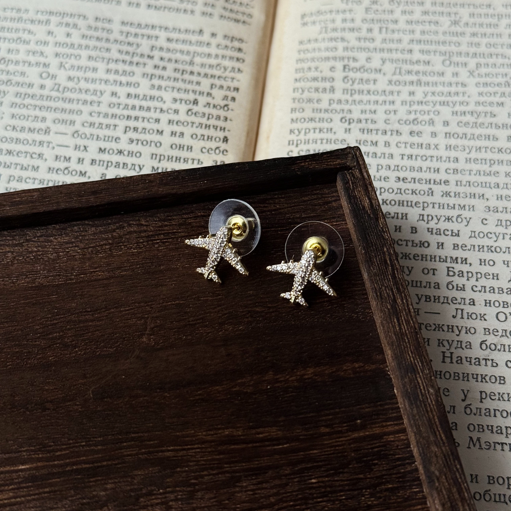 Серьги “Airplane mode”