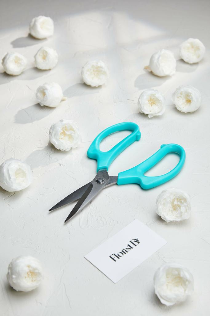 Ножницы - секаторы "6066" - Тиффани