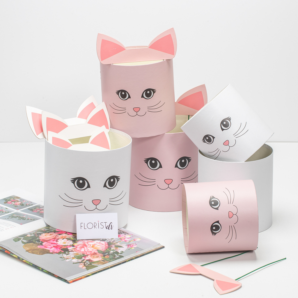 Набор боксов с топпером Kitty