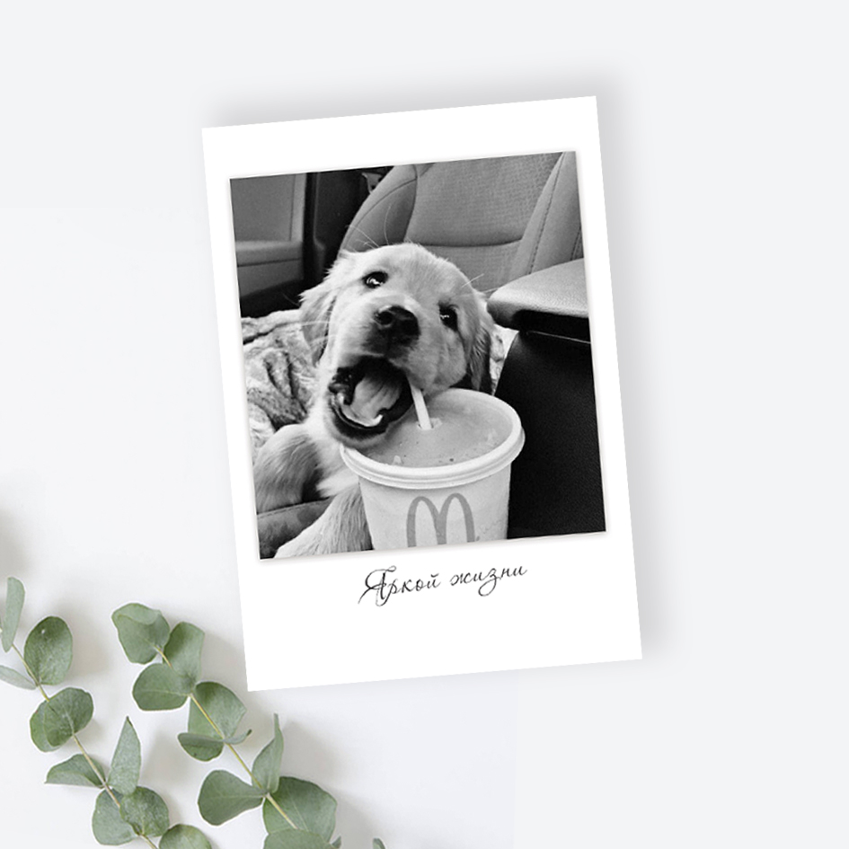 Мини-Карточка "Милый щенок - Яркой жизни"