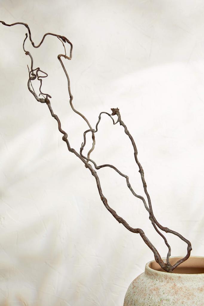 Корелиус