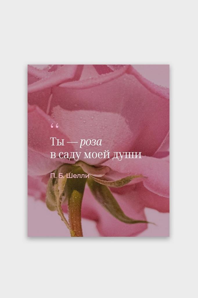 Фотокарточка "Ты - роза в саду моей души" - Поэтические цитаты