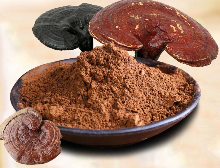 Экстракт рейши