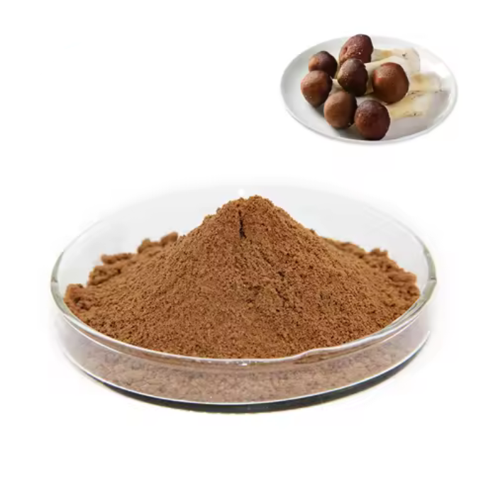 Экстракт агарика бразильского