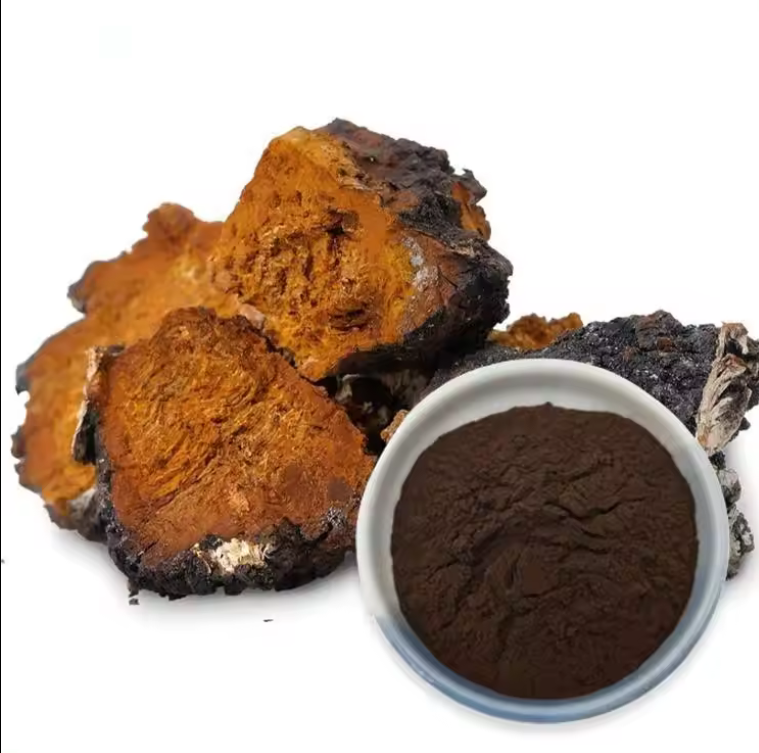 Экстракт чаги